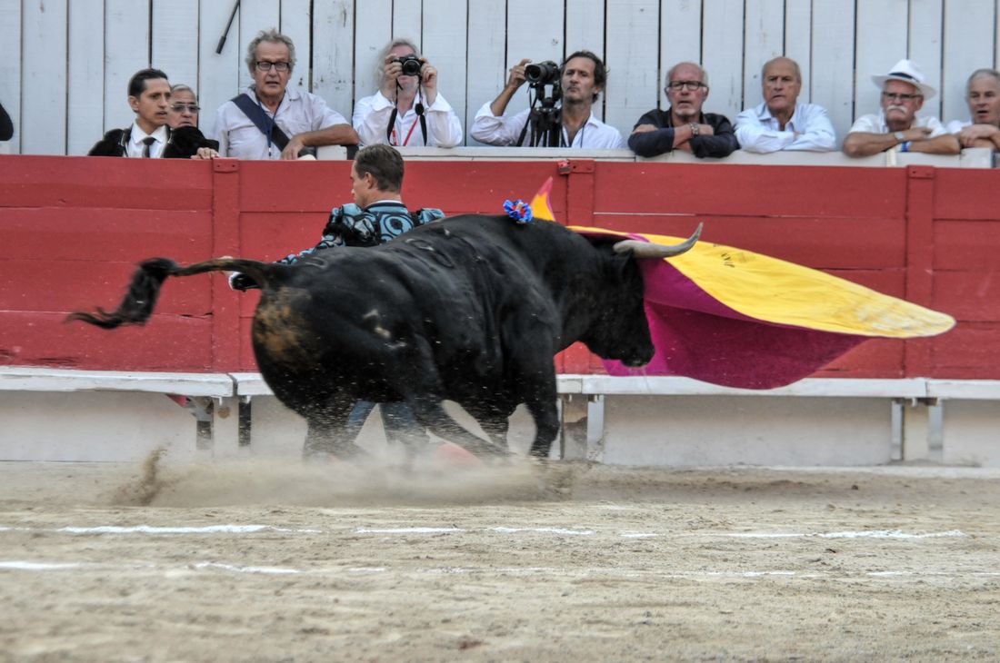 2016corridasamediferiariz (44)