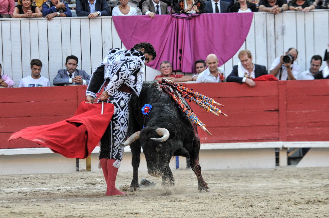 2016corridasamediferiariz (90)