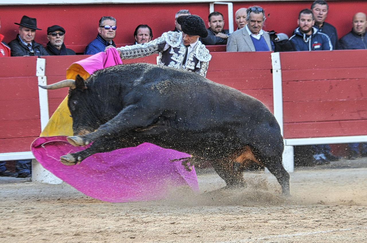2016corridasamedipalavas (13)