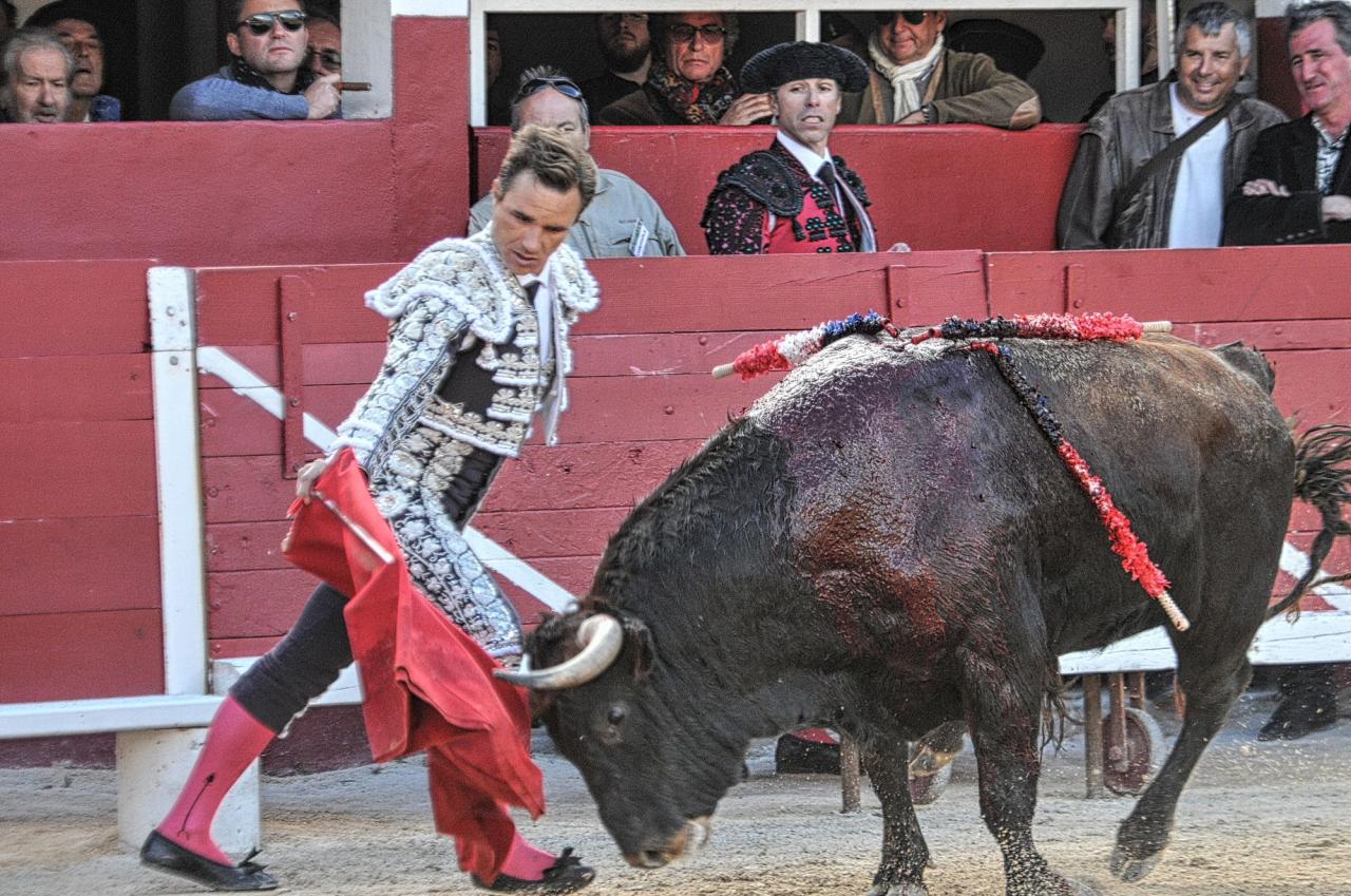2016corridasamedipalavas (16)