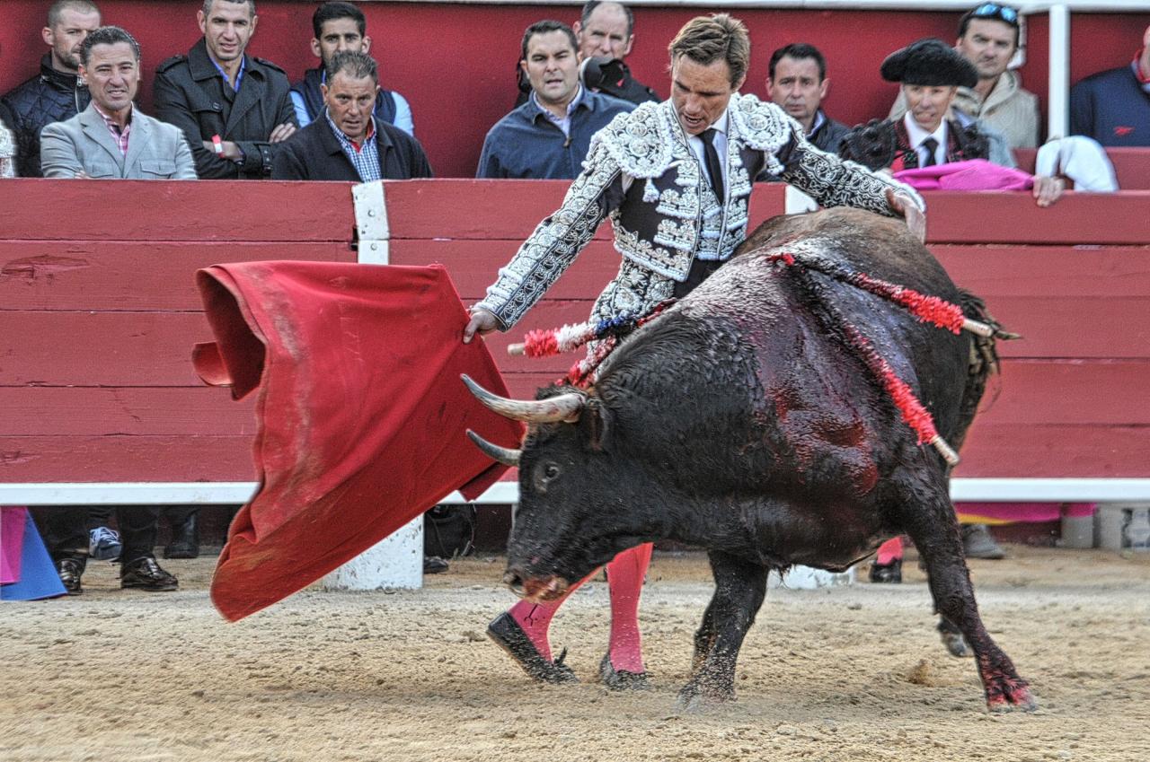 2016corridasamedipalavas (17)