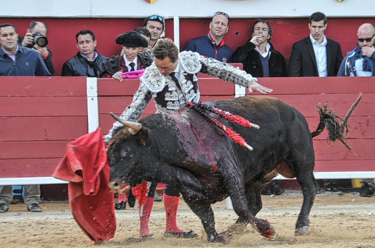 2016corridasamedipalavas (18)
