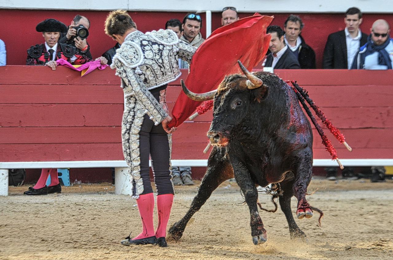 2016corridasamedipalavas (20)