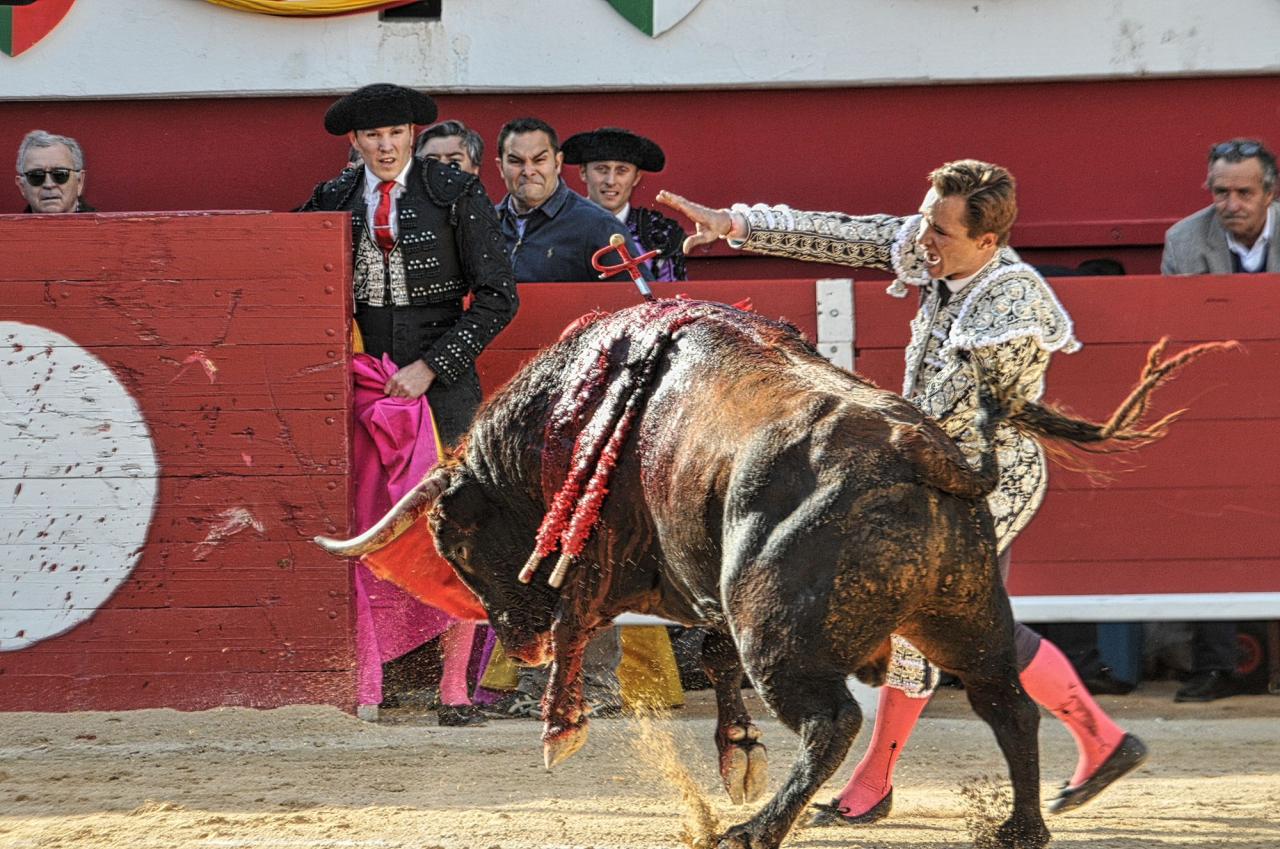 2016corridasamedipalavas (23)