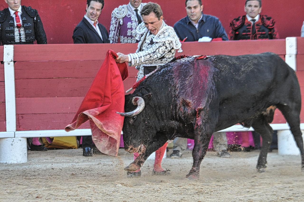 2016corridasamedipalavas (27)