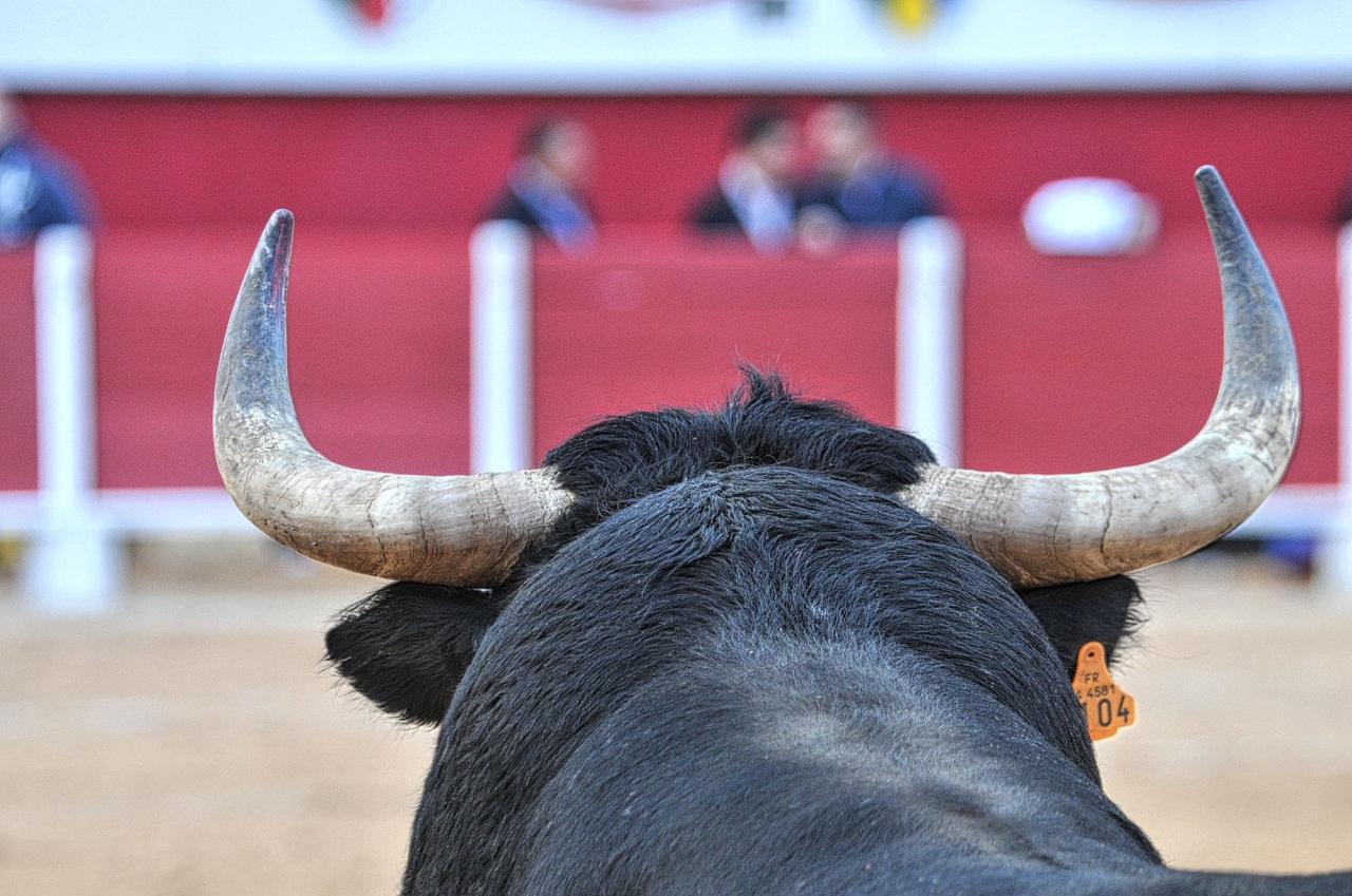 2016corridasamedipalavas (31)