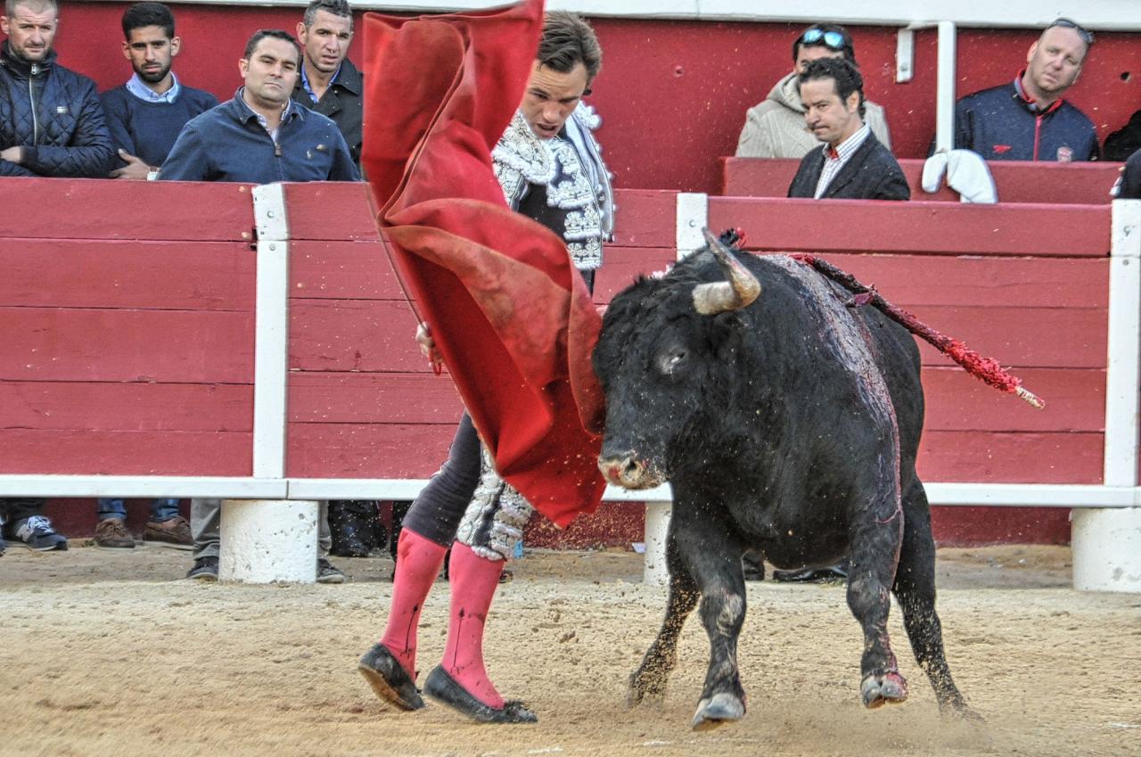 2016corridasamedipalavas (32)