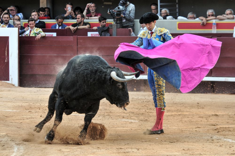 2016corsamamistres (10)
