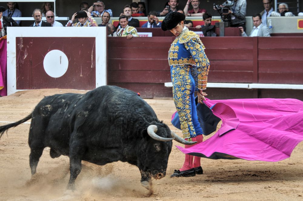 2016corsamamistres (11)