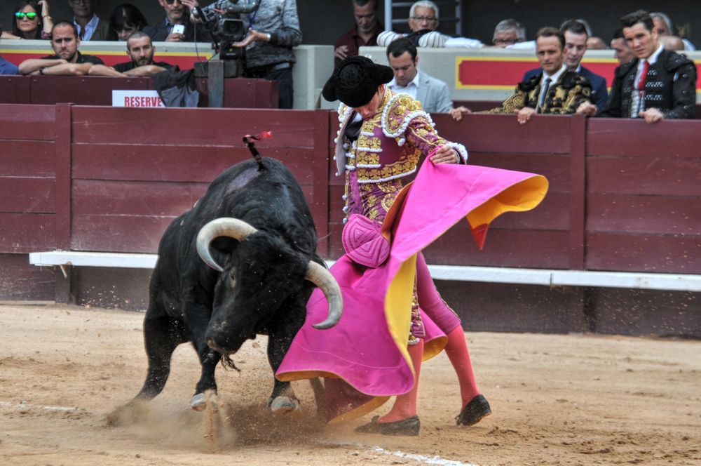 2016corsamamistres (12)