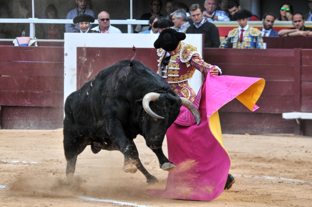2016corsamamistres (13)