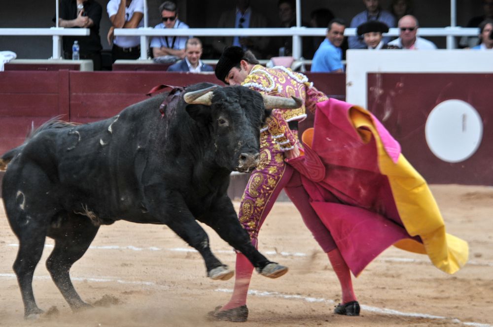 2016corsamamistres (14)