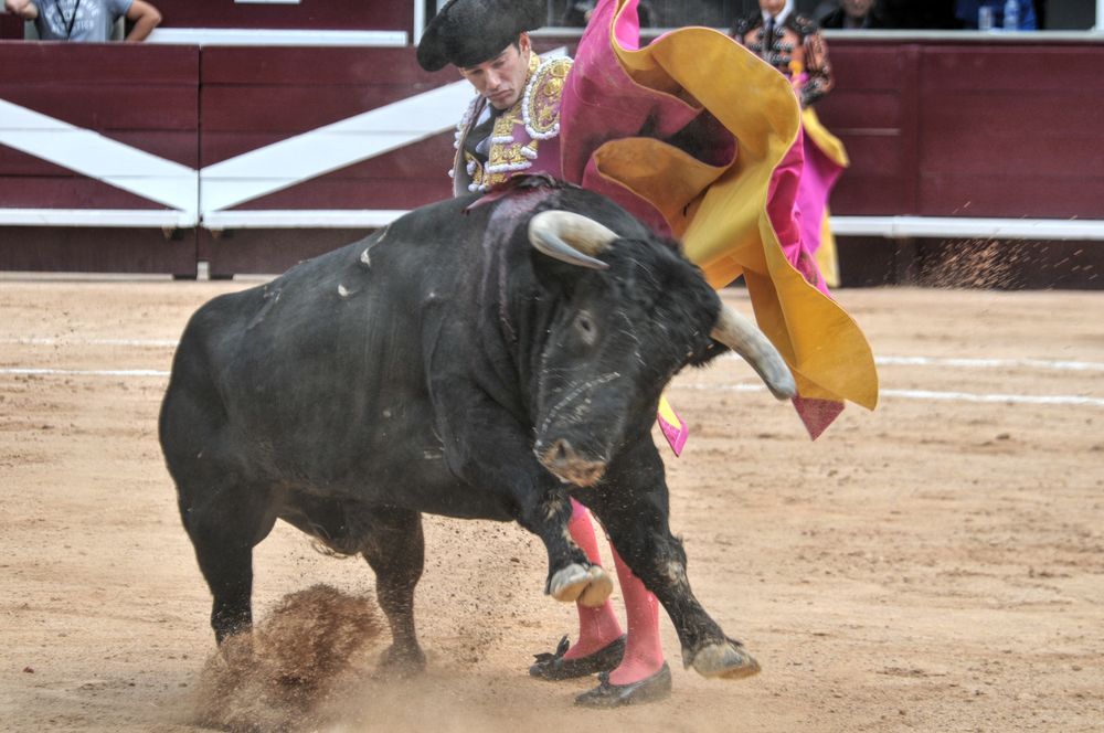 2016corsamamistres (15)