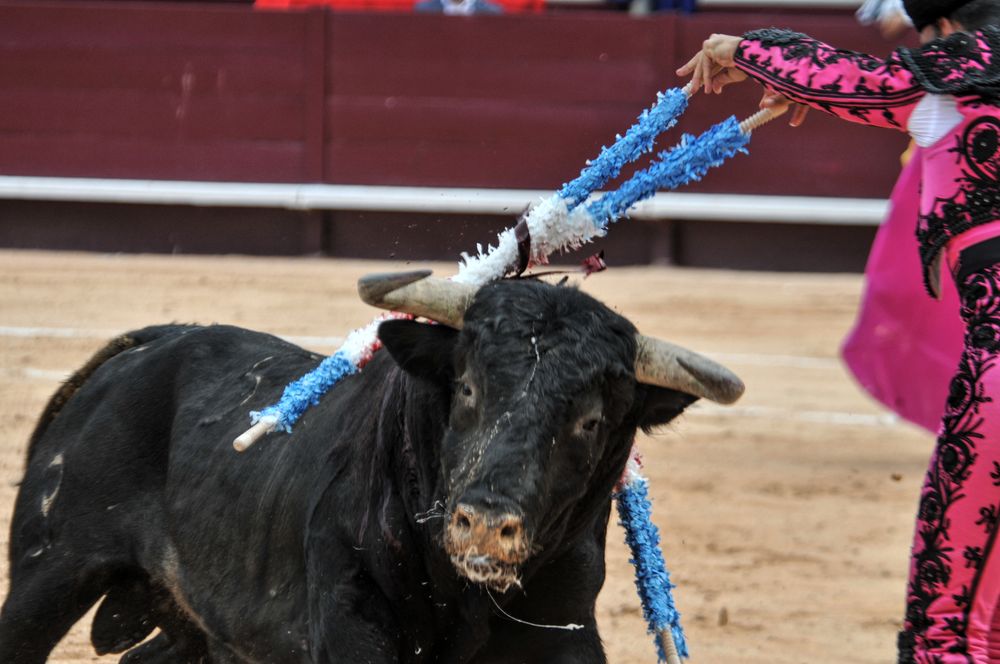 2016corsamamistres (16)