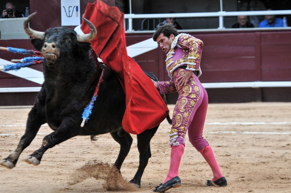 2016corsamamistres (18)