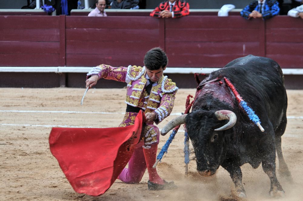 2016corsamamistres (19)