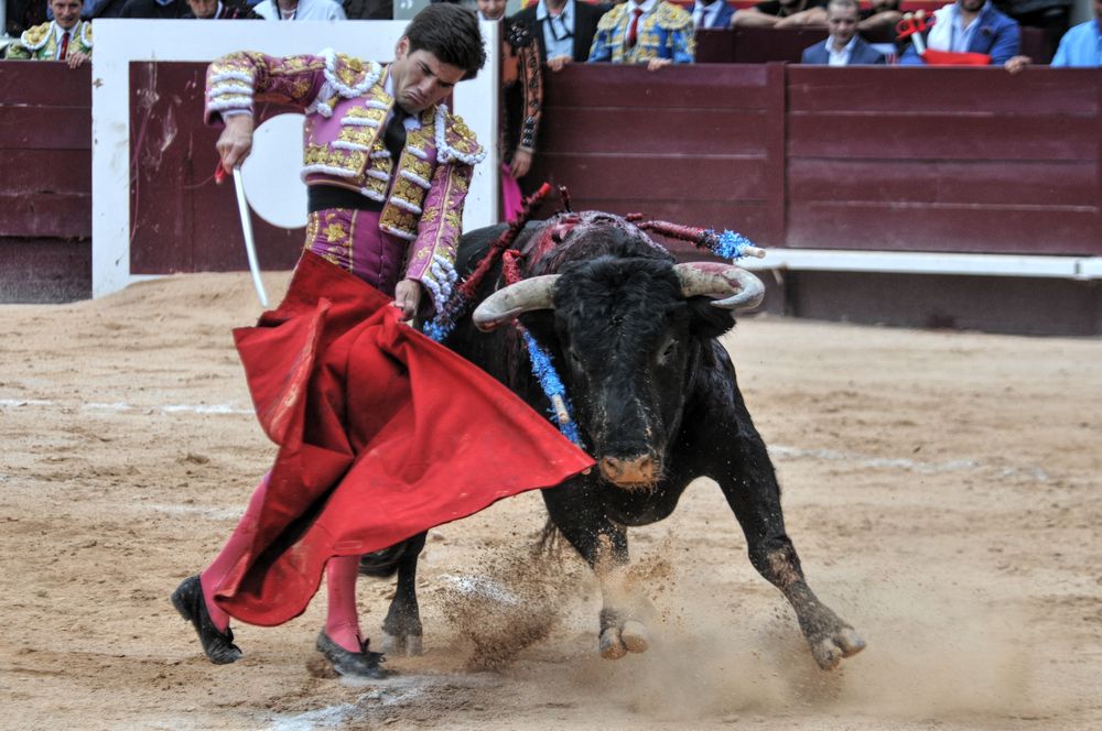 2016corsamamistres (20)