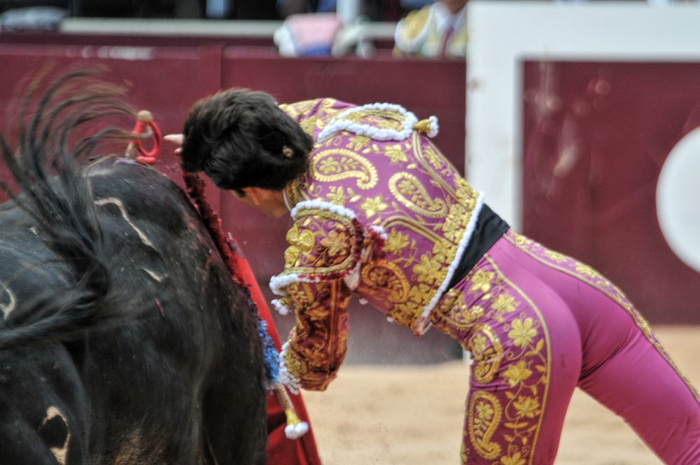 2016corsamamistres (21)