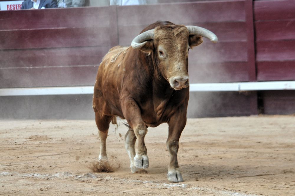 2016corsamamistres (22)