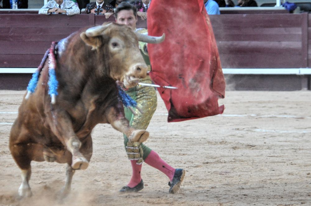 2016corsamamistres (25)