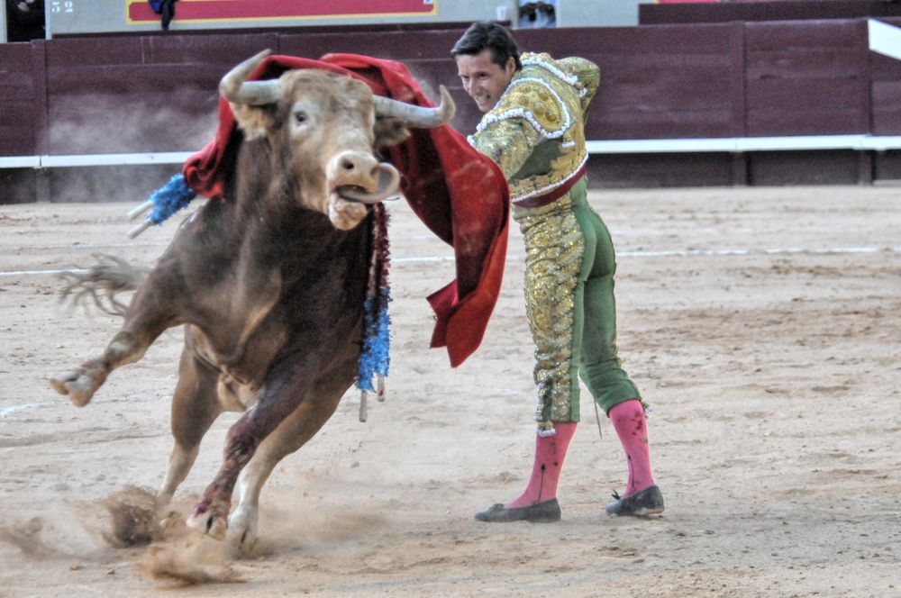 2016corsamamistres (26)