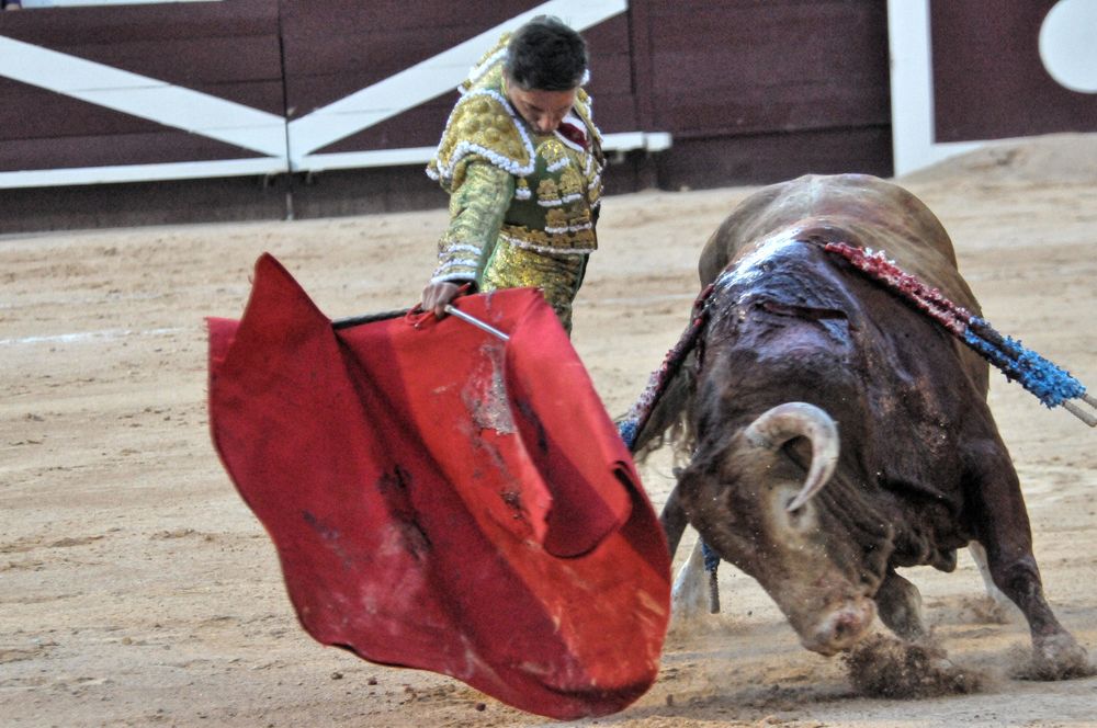 2016corsamamistres (27)