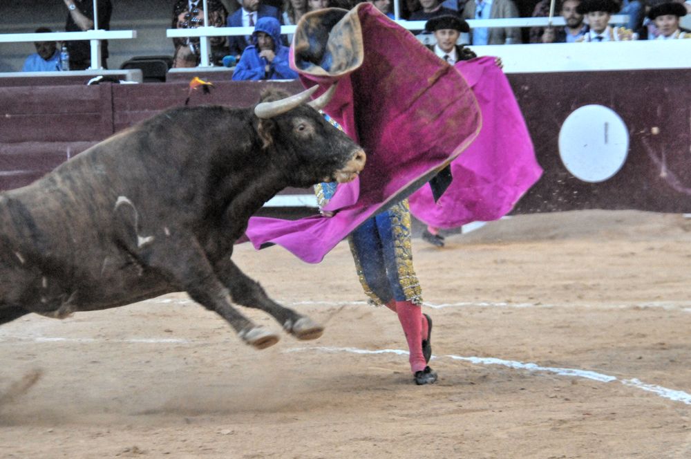 2016corsamamistres (28)