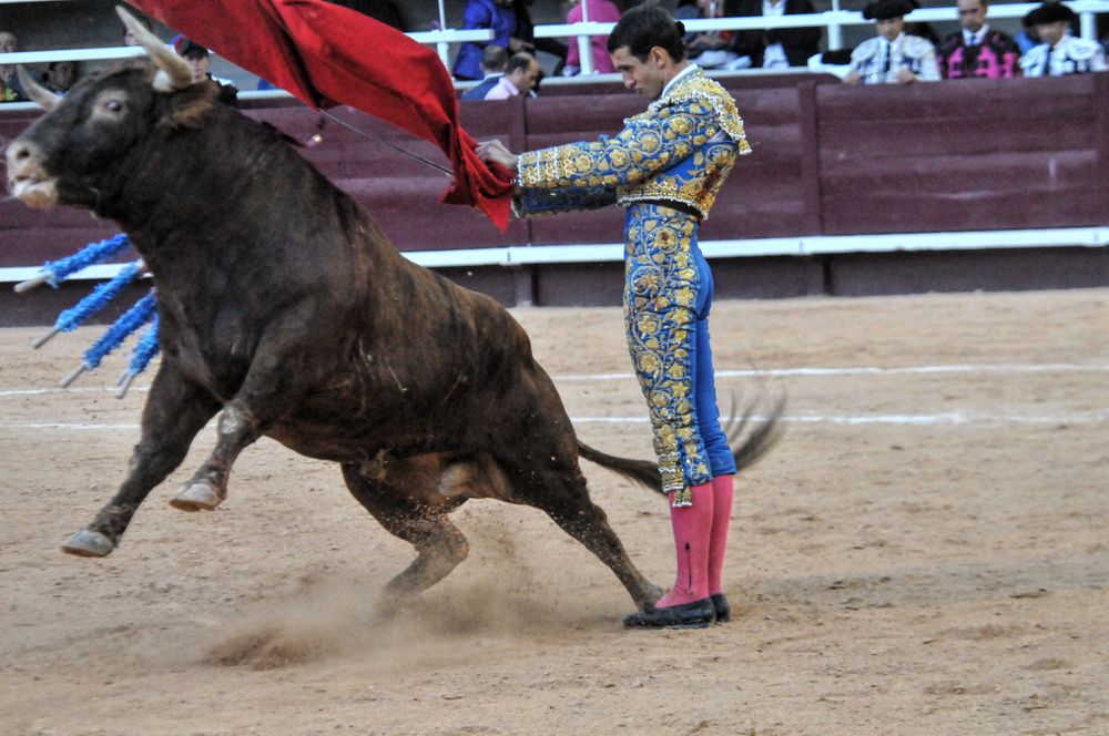 2016corsamamistres (30)