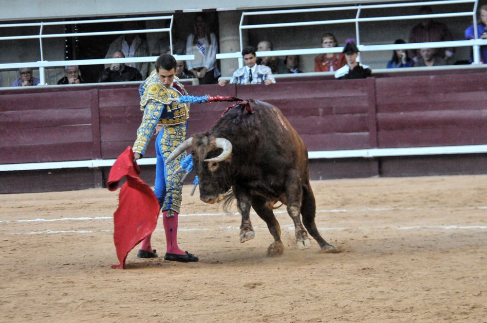 2016corsamamistres (31)