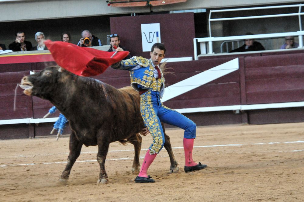 2016corsamamistres (32)