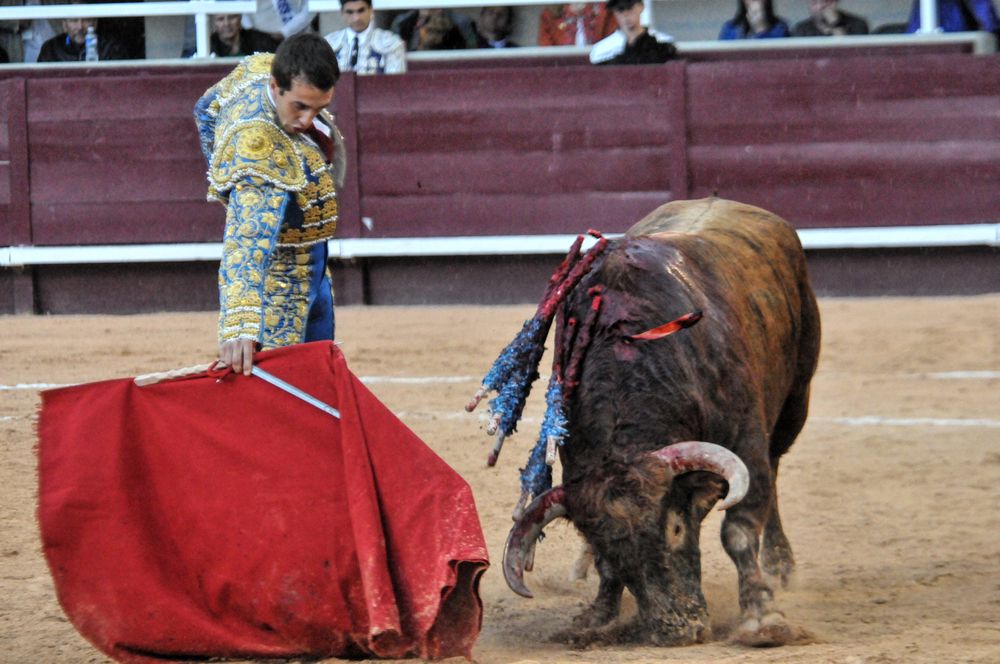 2016corsamamistres (33)