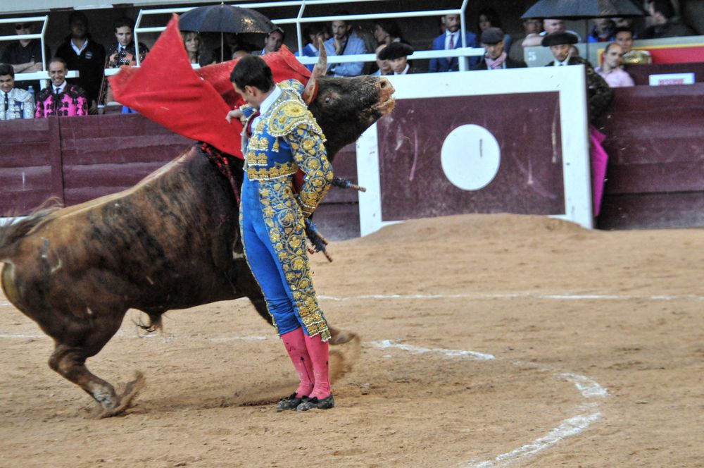 2016corsamamistres (34)