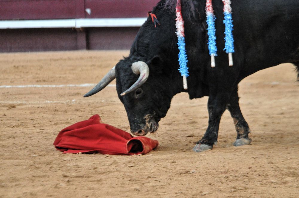 2016corsamamistres (36)