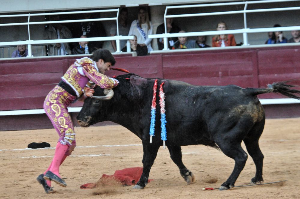2016corsamamistres (37)