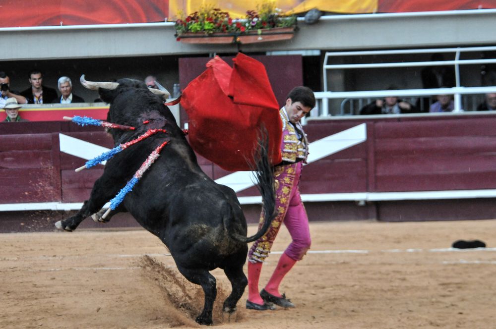 2016corsamamistres (38)