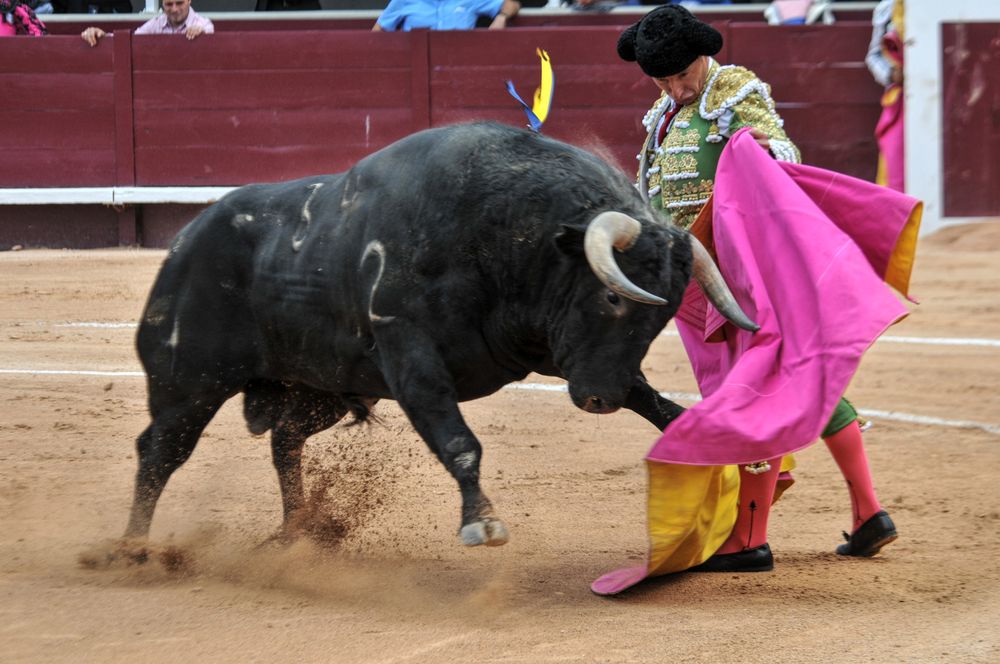 2016corsamamistres (4)