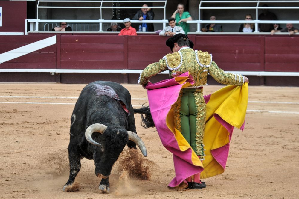 2016corsamamistres (5)