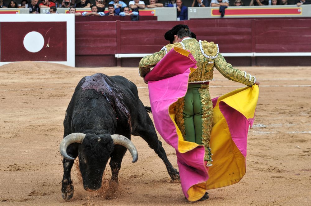 2016corsamamistres (6)