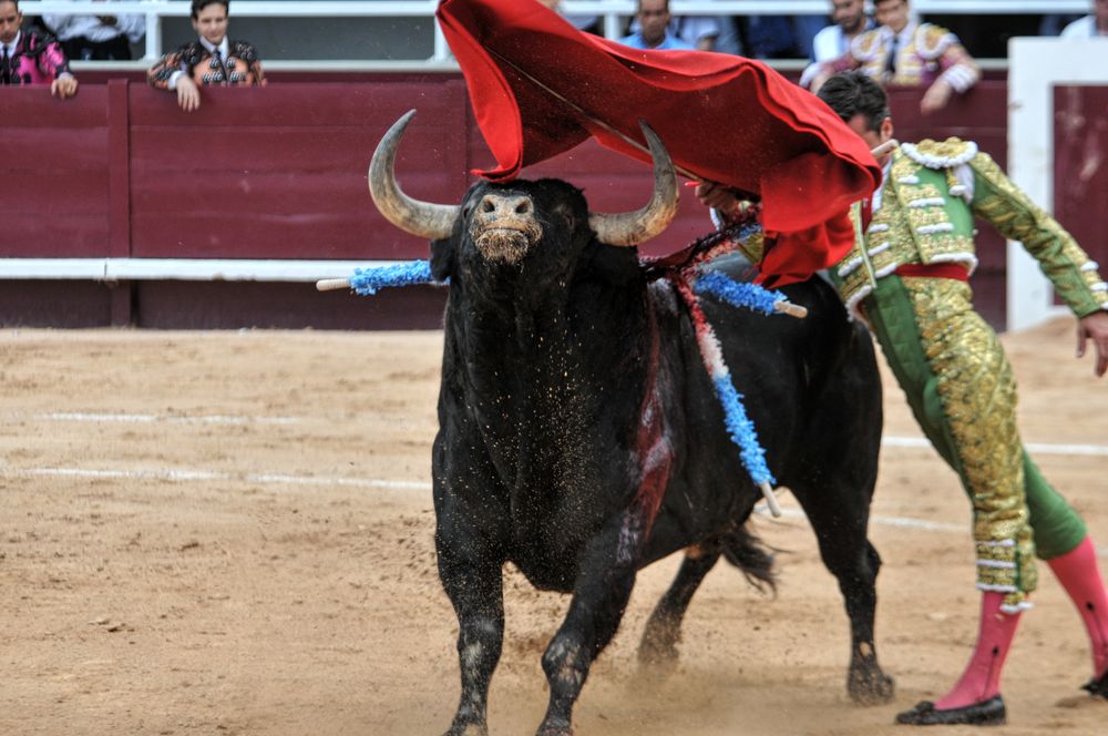 2016corsamamistres (7)