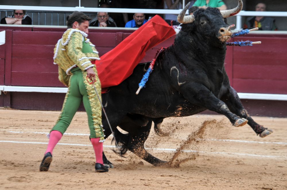 2016corsamamistres (8)