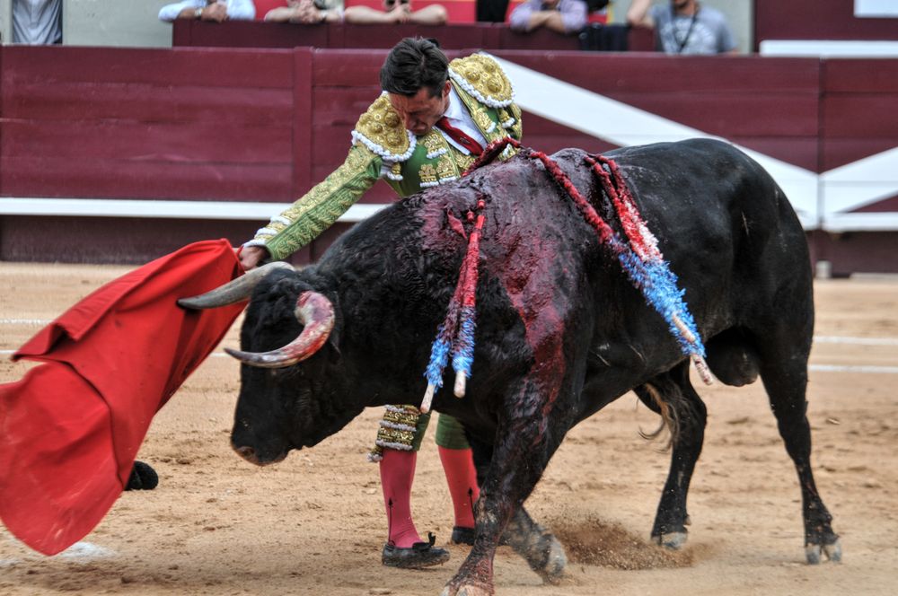 2016corsamamistres (9)