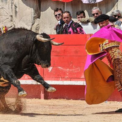 Nîmes : Samedi matin : Porte des Consuls pour Juan Bautista