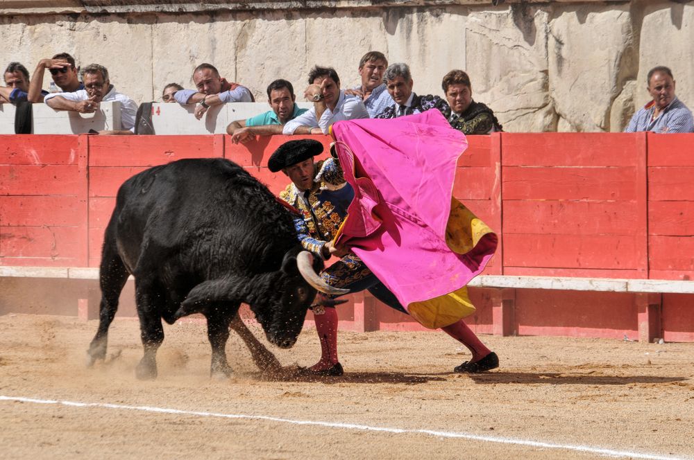 2016corsammvendangesnimes (138)