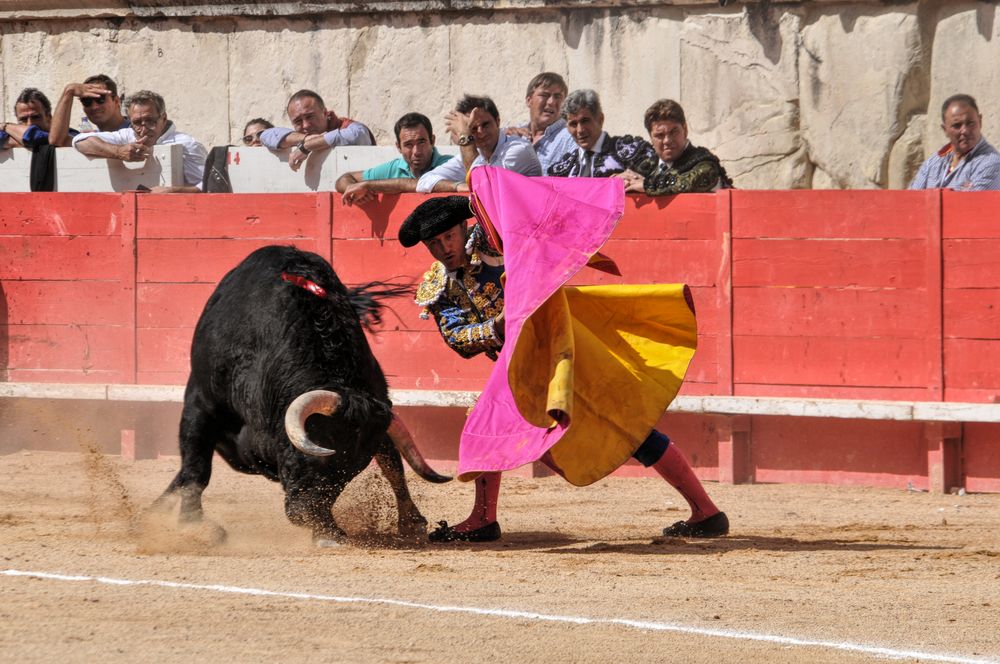 2016corsammvendangesnimes (139)