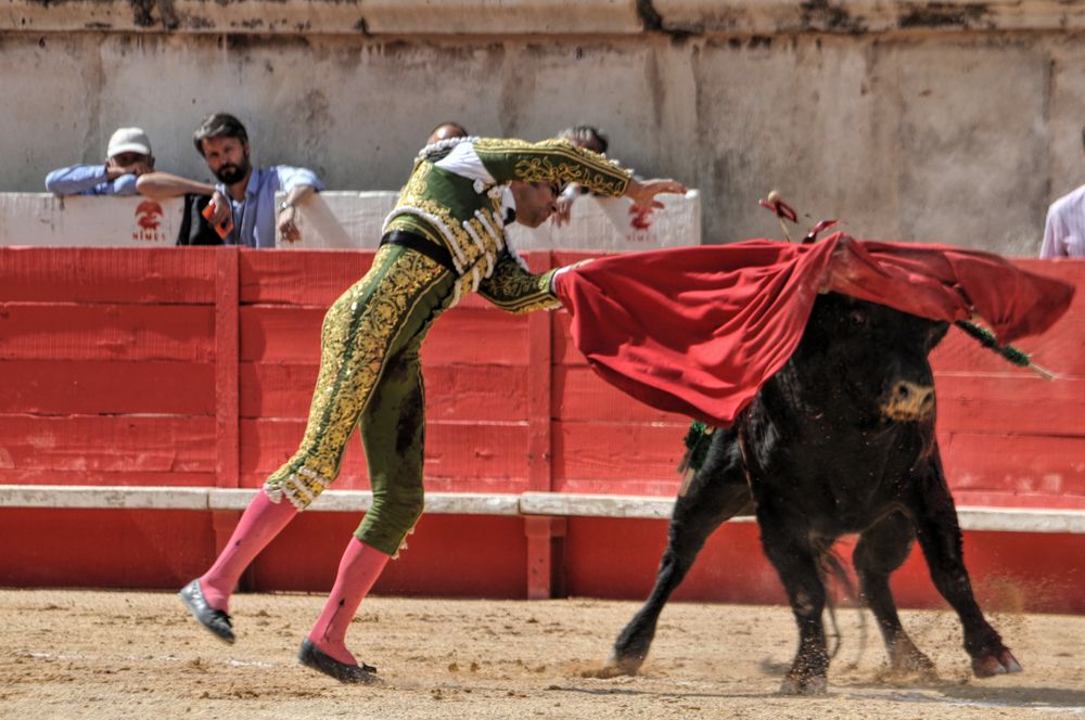 2016corsammvennimes (3)