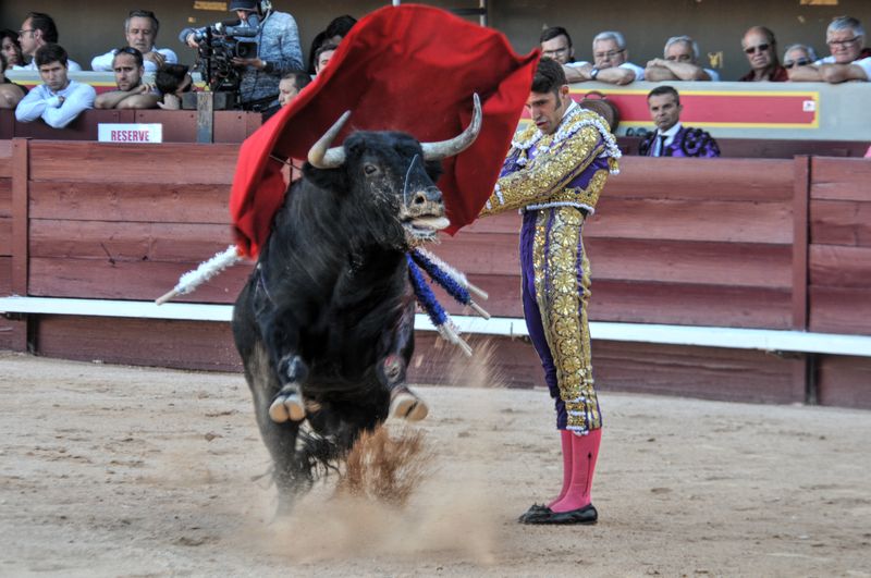 2016corvendistres (13)