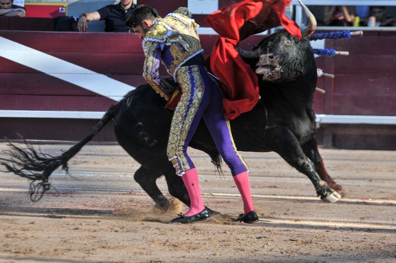 2016corvendistres (17)