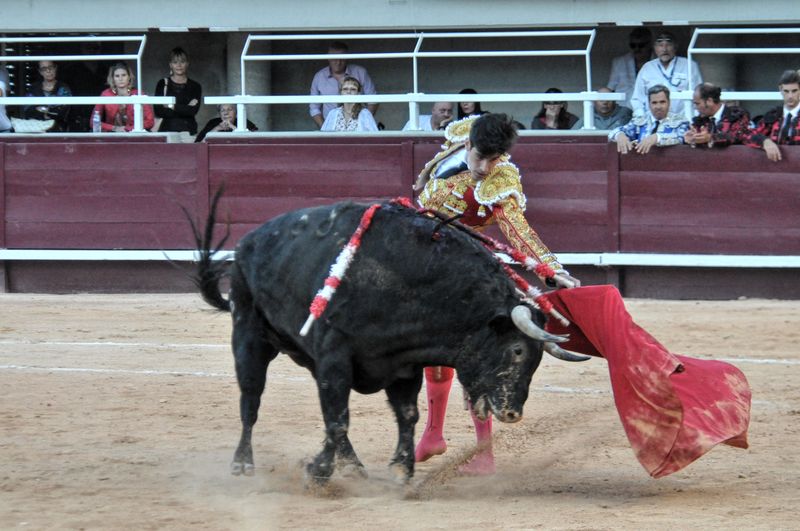 2016corvendistres (29)