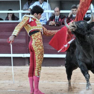 Corrida de Vendredi AM 17 Juin 2016 à Istres