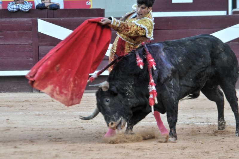 2016corvendistres (31)